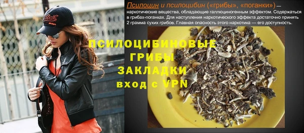 прущая мука Абаза