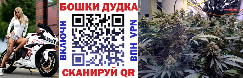 Бошки Шишки семена  Зеленокумск 